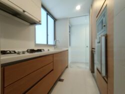 Suites @ Cairnhill (D9), Apartment #466919871